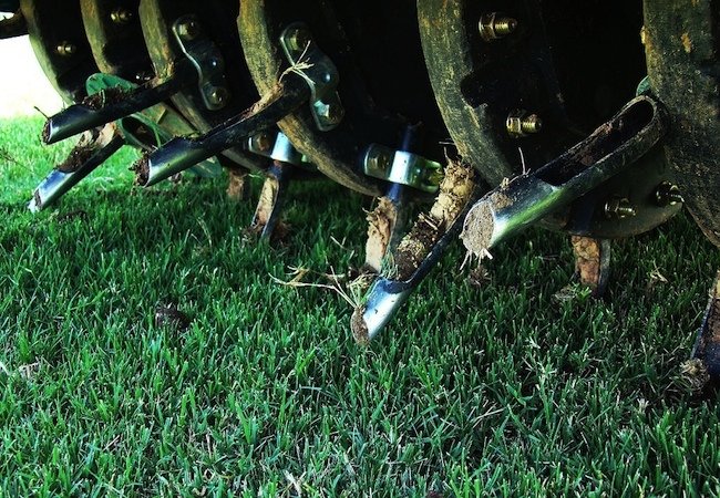 کود دهی و غنی سازی خاک برای چمن